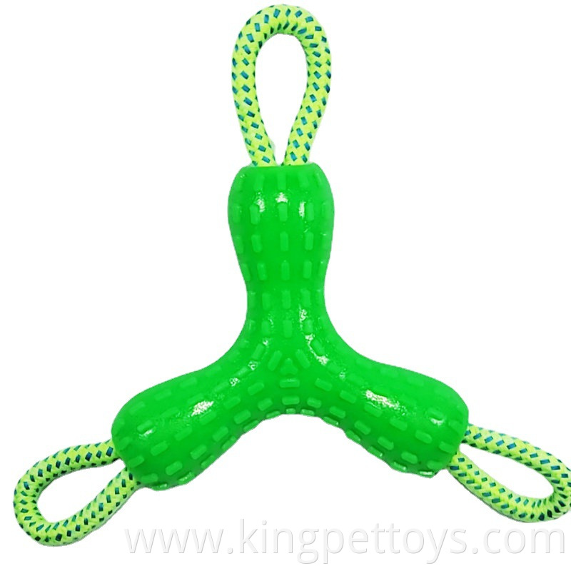Outdoor Rope Toy for Dogs